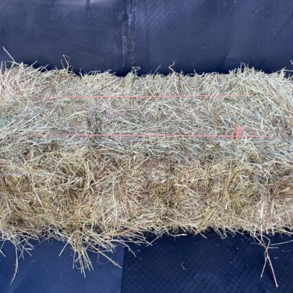 meadow hay sharpes feed barn wellington