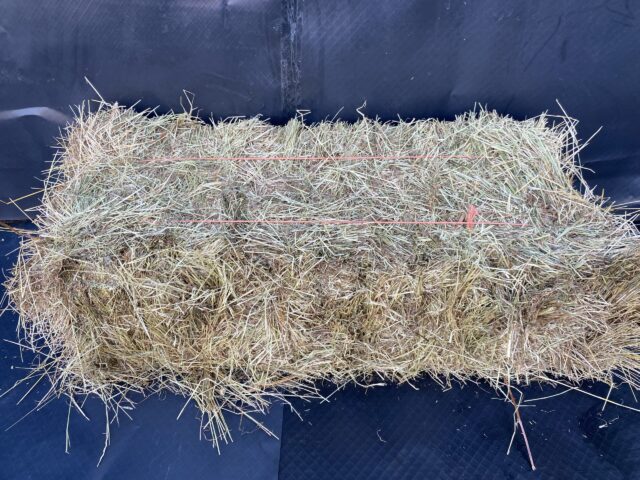 meadow hay sharpes feed barn wellington