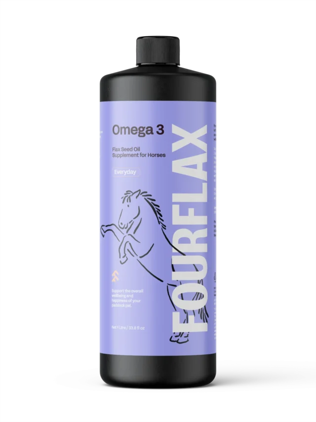 Equine Omega 3 Oil